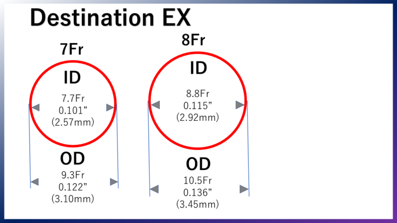 Terumo Corporation 【Destination EX】